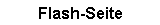 Flash-Seite
